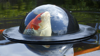 Illustration for article titled A Floating Observation Dome Gives Fish a Glimpse of the Outside World